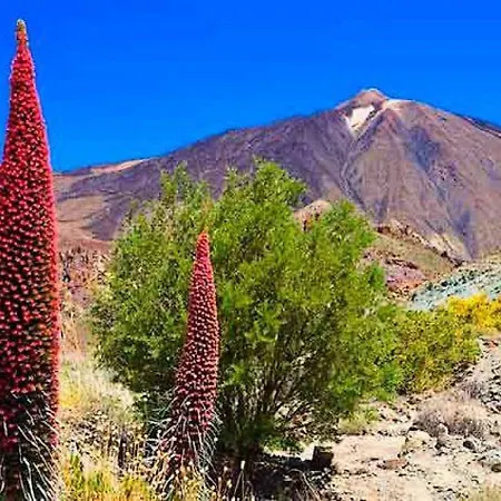 Casita Lola Tenerife Sur San Miguel de Abona